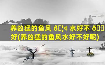 养凶猛的鱼风 🦢 水好不 🐘 好(养凶猛的鱼风水好不好呢)
